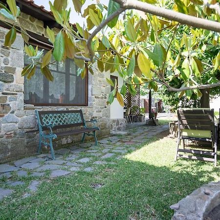 Traditionelles Appartement Athos Shadow Am Meer Paralia Sikias Bagian luar foto