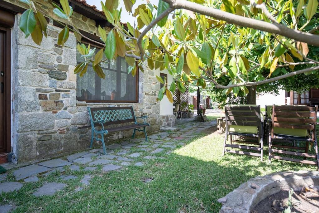 Traditionelles Appartement Athos Shadow Am Meer Paralia Sikias Bagian luar foto
