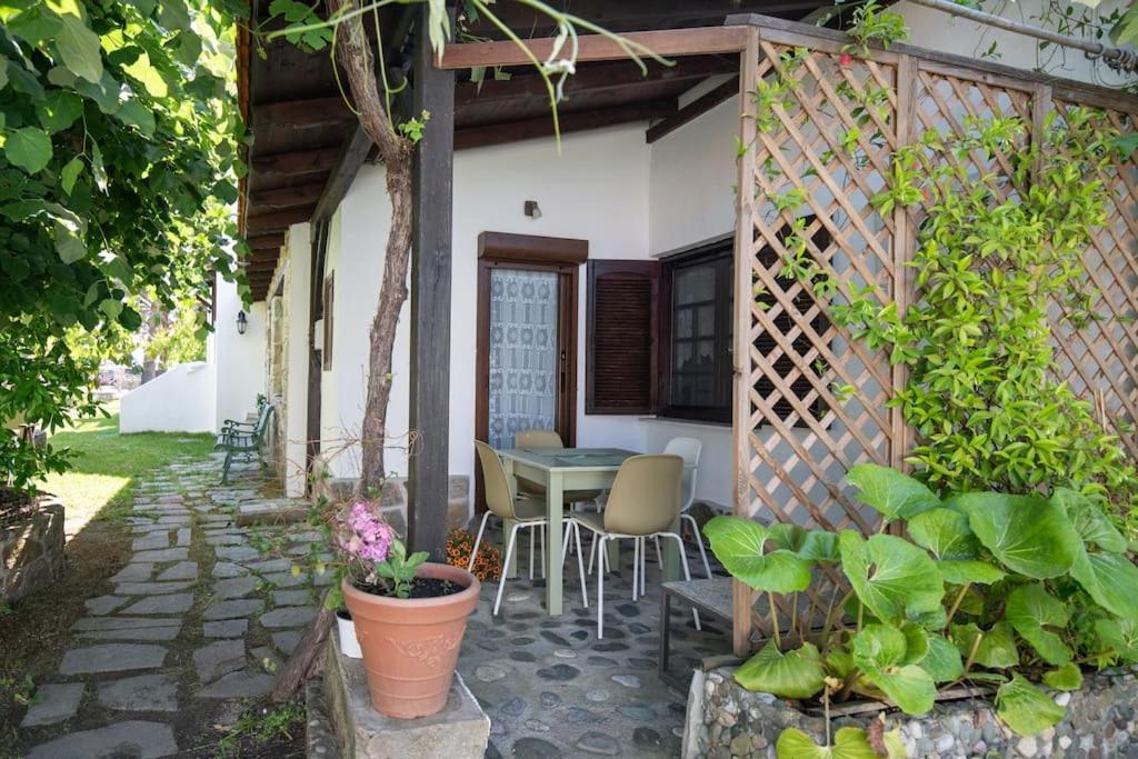 Traditionelles Appartement Athos Shadow Am Meer Paralia Sikias Bagian luar foto