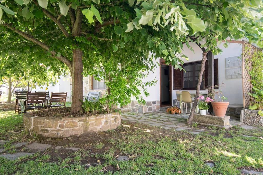 Traditionelles Appartement Athos Shadow Am Meer Paralia Sikias Bagian luar foto