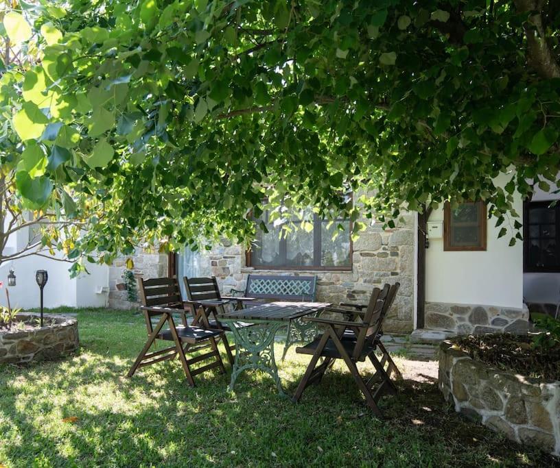 Traditionelles Appartement Athos Shadow Am Meer Paralia Sikias Bagian luar foto