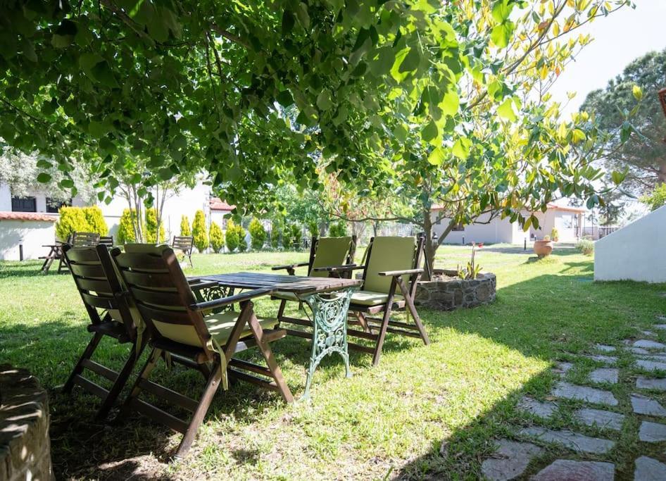 Traditionelles Appartement Athos Shadow Am Meer Paralia Sikias Bagian luar foto