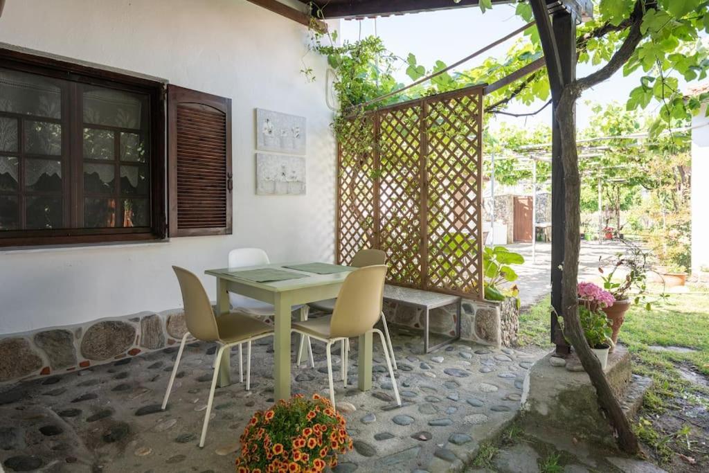 Traditionelles Appartement Athos Shadow Am Meer Paralia Sikias Bagian luar foto